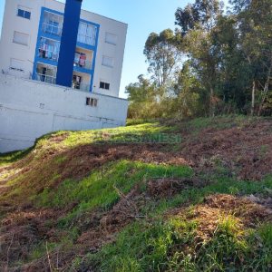 Terreno, no bairro Vinhedos em Caxias do Sul para Comprar