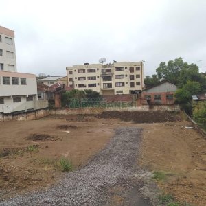 Terreno com 1276m², no bairro São Pelegrino em Caxias do Sul para Alugar