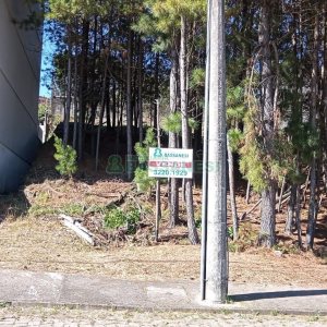 Terreno, no bairro Kayser em Caxias do Sul para Comprar