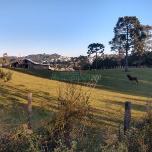 Terreno com 67996m², no bairro São Ciro em Caxias do Sul para Comprar