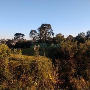 Terreno com 67996m², no bairro São Ciro em Caxias do Sul para Comprar
