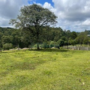 Terreno com 67996m², no bairro São Ciro em Caxias do Sul para Comprar