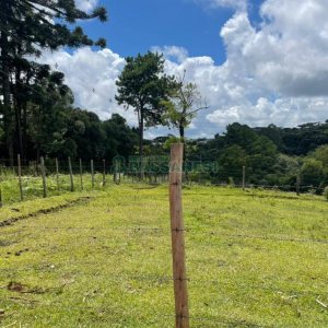 Terreno com 67996m², no bairro São Ciro em Caxias do Sul para Comprar