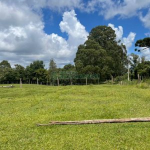 Terreno com 67996m², no bairro São Ciro em Caxias do Sul para Comprar