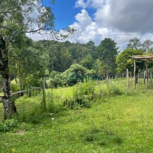Terreno com 67996m², no bairro São Ciro em Caxias do Sul para Comprar