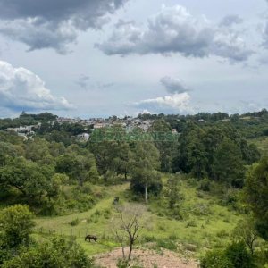 Terreno com 67996m², no bairro São Ciro em Caxias do Sul para Comprar