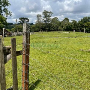 Terreno com 67996m², no bairro São Ciro em Caxias do Sul para Comprar