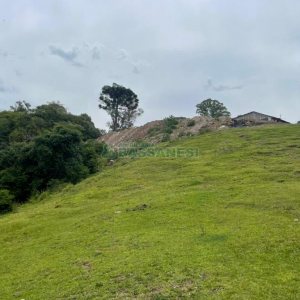 Terreno com 67996m², no bairro São Ciro em Caxias do Sul para Comprar