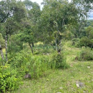 Terreno com 67996m², no bairro São Ciro em Caxias do Sul para Comprar