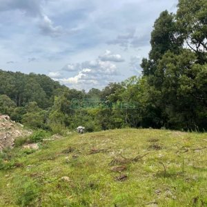 Terreno com 67996m², no bairro São Ciro em Caxias do Sul para Comprar