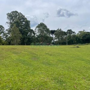 Terreno com 67996m², no bairro São Ciro em Caxias do Sul para Comprar