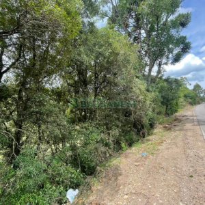 Terreno com 67996m², no bairro São Ciro em Caxias do Sul para Comprar