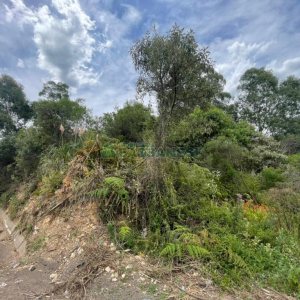 Terreno com 67996m², no bairro São Ciro em Caxias do Sul para Comprar