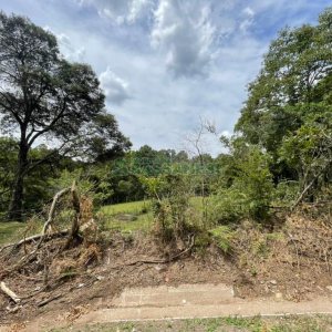 Terreno com 67996m², no bairro São Ciro em Caxias do Sul para Comprar