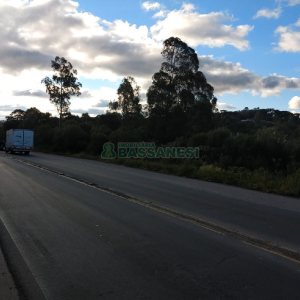 Terreno com 67996m², no bairro São Ciro em Caxias do Sul para Comprar