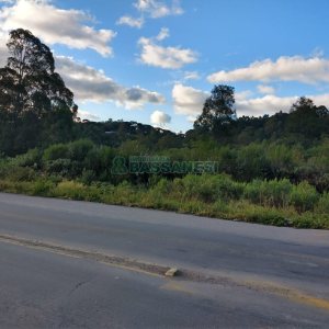 Terreno com 67996m², no bairro São Ciro em Caxias do Sul para Comprar