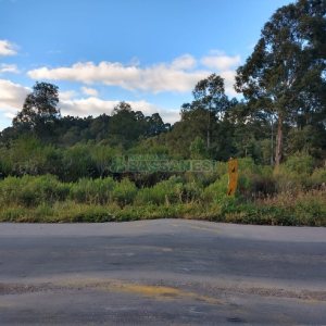Terreno com 67996m², no bairro São Ciro em Caxias do Sul para Comprar