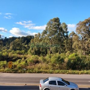 Terreno com 67996m², no bairro São Ciro em Caxias do Sul para Comprar