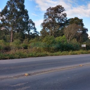 Terreno com 67996m², no bairro São Ciro em Caxias do Sul para Comprar