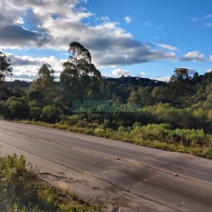 Terreno com 67996m², no bairro São Ciro em Caxias do Sul para Comprar