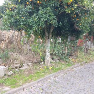 Terreno, no bairro São José em Caxias do Sul para Comprar
