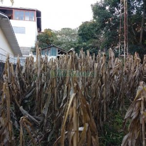 Terreno, no bairro São José em Caxias do Sul para Comprar
