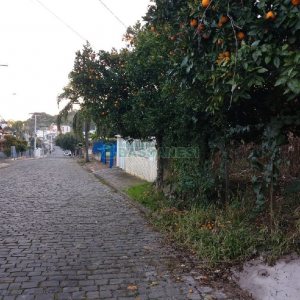 Terreno, no bairro São José em Caxias do Sul para Comprar