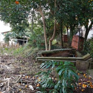 Terreno, no bairro São José em Caxias do Sul para Comprar
