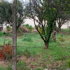 Terreno com 387m², no bairro Panazzolo em Caxias do Sul para Comprar
