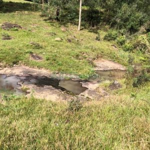 Chácara, no bairro Vila Seca em Caxias do Sul para Comprar