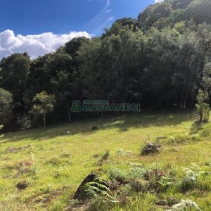 Chácara, no bairro Vila Seca em Caxias do Sul para Comprar