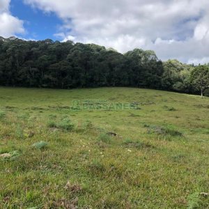 Chácara, no bairro Vila Seca em Caxias do Sul para Comprar