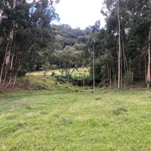 Chácara, no bairro Vila Seca em Caxias do Sul para Comprar
