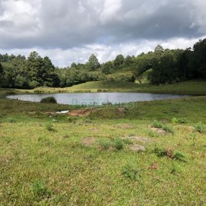 Chácara, no bairro Vila Seca em Caxias do Sul para Comprar