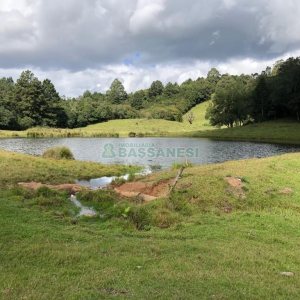 Chácara, no bairro Vila Seca em Caxias do Sul para Comprar