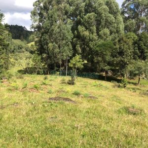 Chácara, no bairro Vila Seca em Caxias do Sul para Comprar