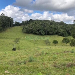 Chácara, no bairro Vila Seca em Caxias do Sul para Comprar
