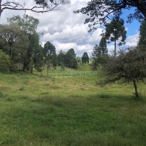 Chácara, no bairro Vila Seca em Caxias do Sul para Comprar