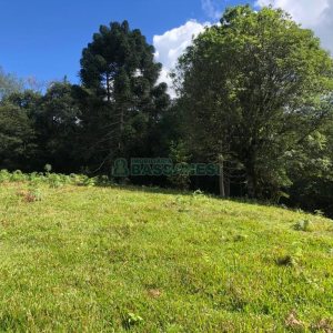 Chácara, no bairro Vila Seca em Caxias do Sul para Comprar