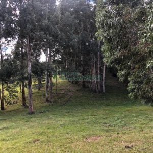 Chácara, no bairro Vila Seca em Caxias do Sul para Comprar