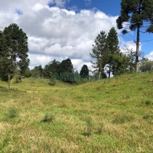 Chácara, no bairro Vila Seca em Caxias do Sul para Comprar