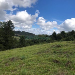 Chácara, no bairro Vila Seca em Caxias do Sul para Comprar