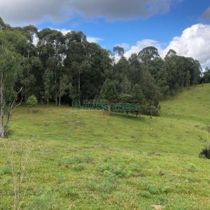 Chácara, no bairro Vila Seca em Caxias do Sul para Comprar