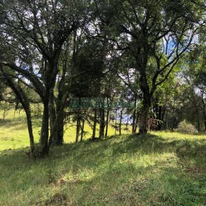 Chácara, no bairro Vila Seca em Caxias do Sul para Comprar
