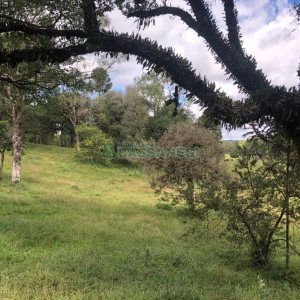 Chácara, no bairro Vila Seca em Caxias do Sul para Comprar