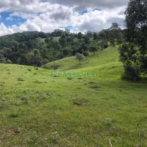 Chácara, no bairro Vila Seca em Caxias do Sul para Comprar