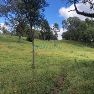Chácara, no bairro Vila Seca em Caxias do Sul para Comprar