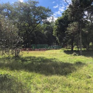 Chácara, no bairro Vila Seca em Caxias do Sul para Comprar