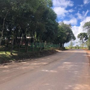 Chácara, no bairro Vila Seca em Caxias do Sul para Comprar