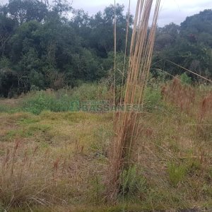 Terreno, no bairro Monte Bérico em Caxias do Sul para Comprar